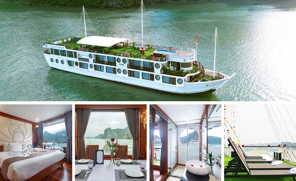 Calypso Cruise