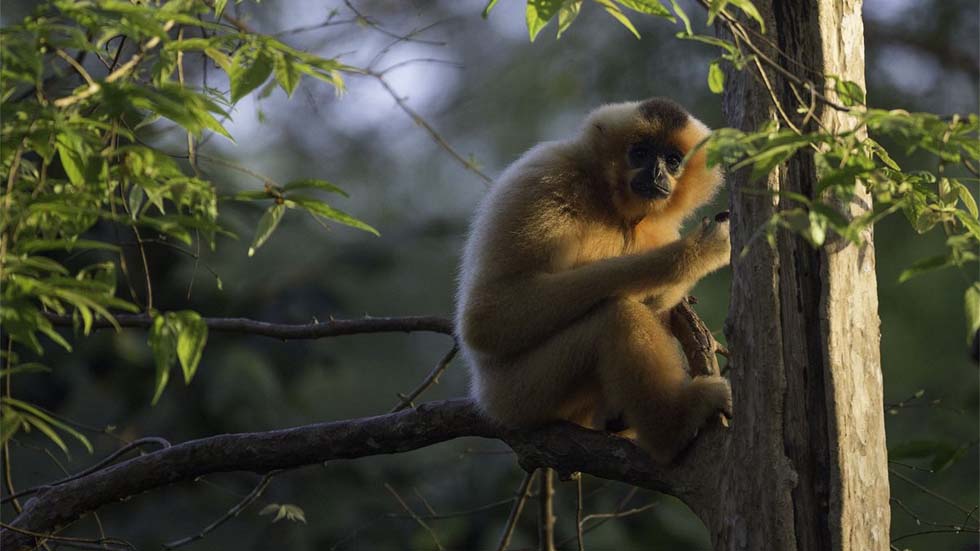 Parque Nacional de Cat Tien