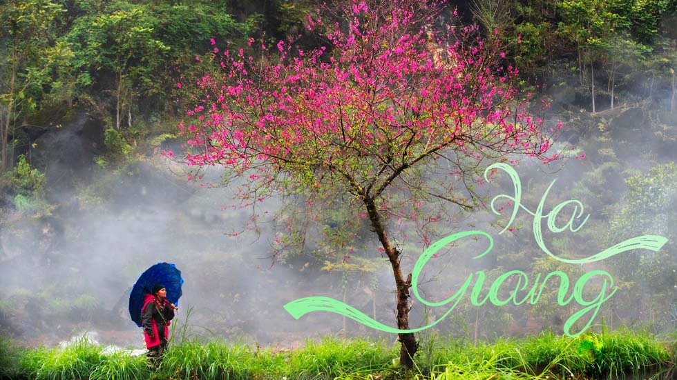 Ha Giang
